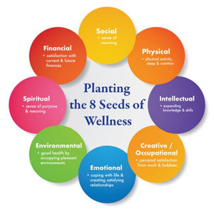 Wellness Woman Academy